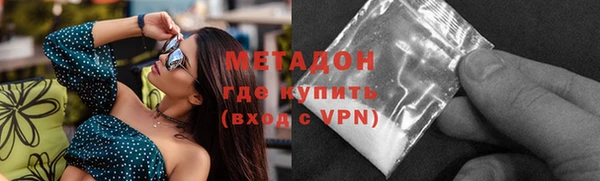 индика Богданович