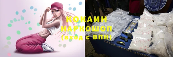 индика Богданович