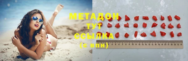индика Богданович