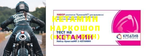индика Богданович