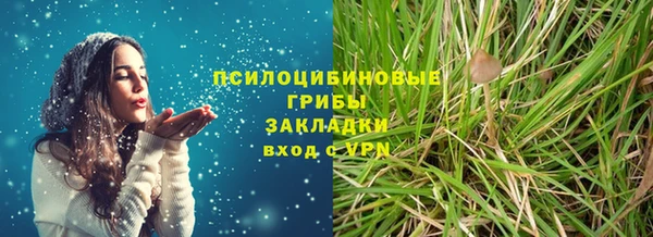 индика Богданович