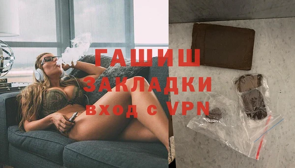 индика Богданович