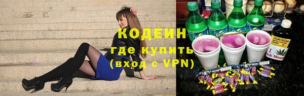 индика Богданович