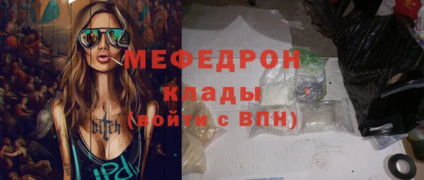 индика Богданович