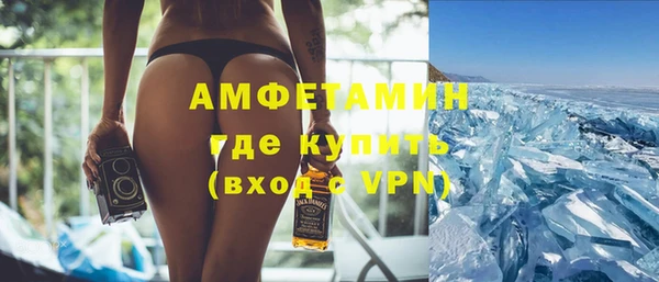 индика Богданович